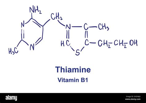 Thiamine chemical structure. Vector illustration Hand drawn Stock ...