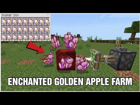 INFINITE ENCHANTED GOLDEN APPLE FARM || Minecraft 1.19(2022) || Bedrock ...