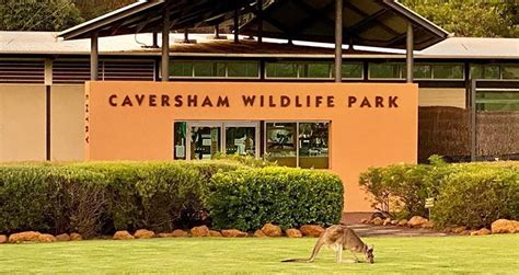 Home » Caversham Wildlife Park