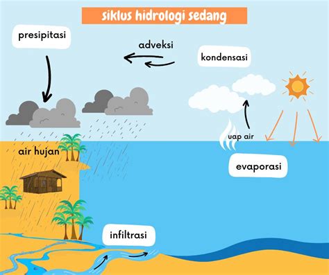 Siklus Hujan (Hidrologi), Alur Proses Terjadinya Hujan