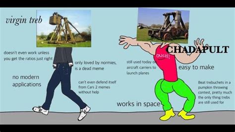 Virgin Trebuchet vs Chadapult : r/virginvschad