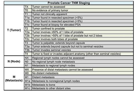 Tumor: Tumor Staging