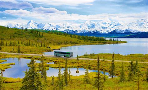 Denali Backcountry Lodge: True Wilderness Lodge Deep in the Park