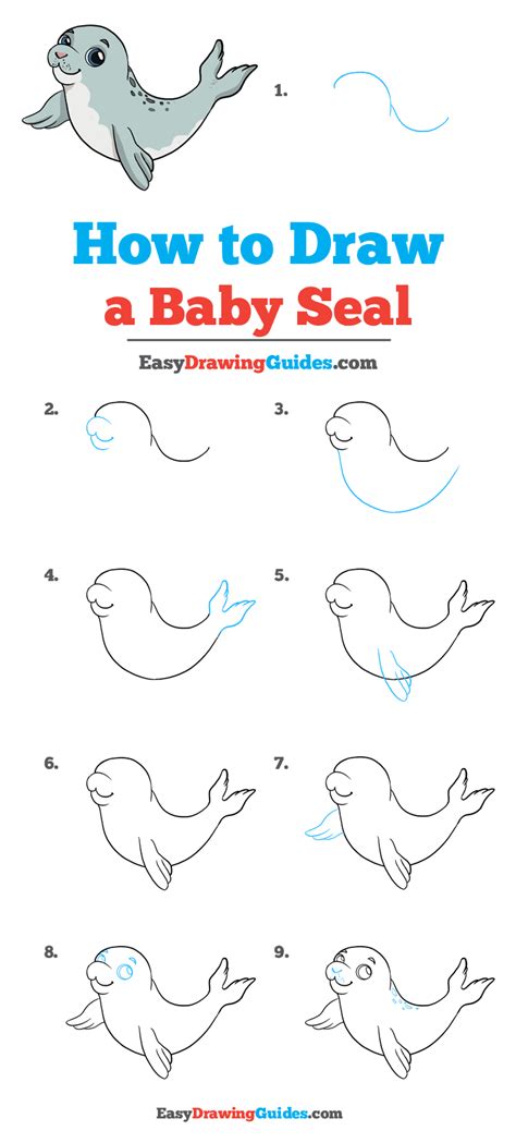 How to Draw a Baby Seal - Really Easy Drawing Tutorial