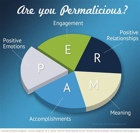 What is PERMA by Martin Seligman