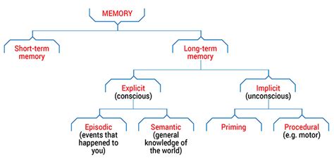 Types of memory - Queensland Brain Institute - University of Queensland