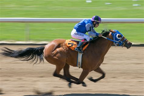 Tips for taking horse racing photos | DR Photos