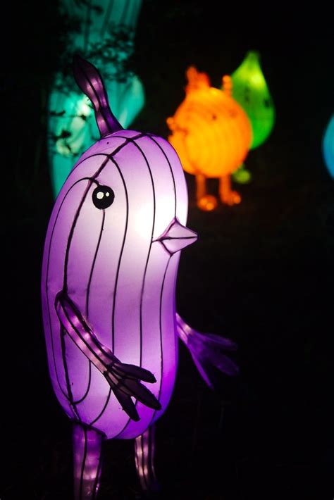 Giant Lanterns of China | Edinburgh Zoo, 2019 | Lesley Mitchell | Flickr