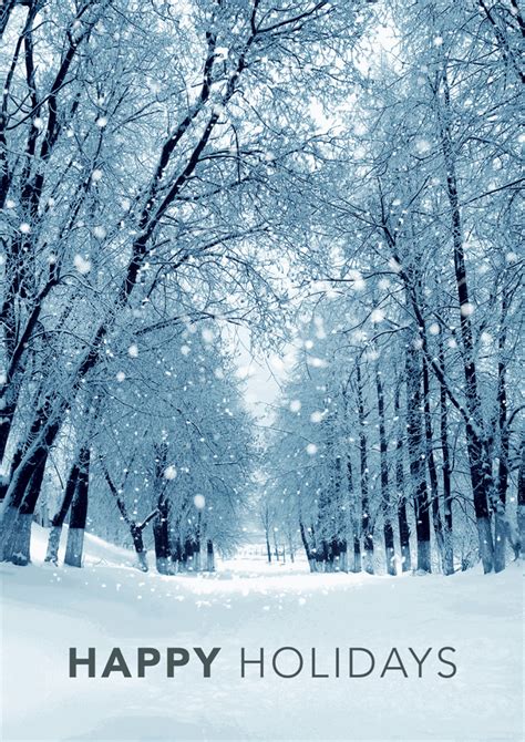 D2549 Snowy Winter Path Holiday Greeting Cards 5 5/8 x 7 7/8"