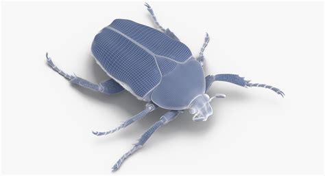 Green scarab beetle 3D model - TurboSquid 1399504