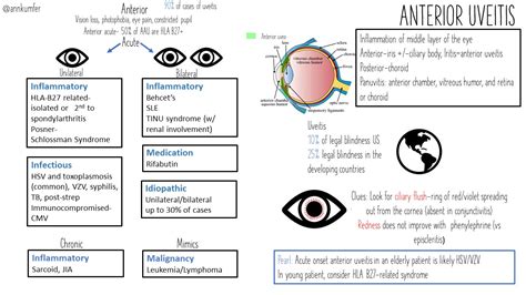 Chronic Uveitis Causes