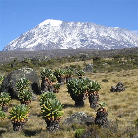 Kilimanjaro National Park - UNESCO World Heritage Centre