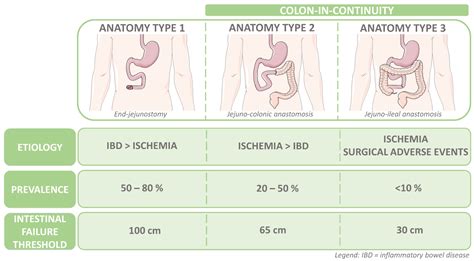 Sigmoid Colon Resection Diet