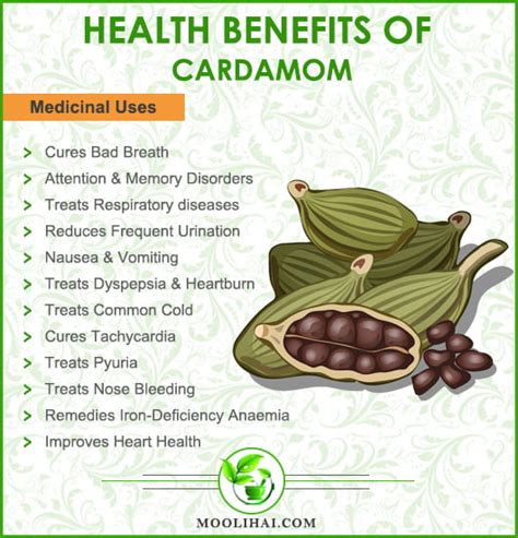 Health Benefits of Cardamom [Medicinal properties & Side Effects]