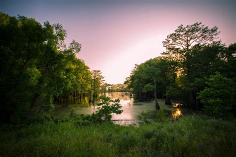 Humid Subtropical :: Soil Health