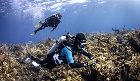 The Heart & Diving - Divers Alert Network