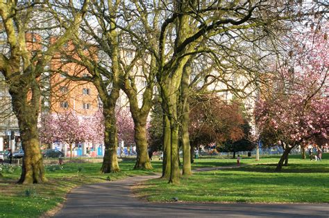 7 of Manchester's best green spaces - EcoSpeed Couriers Manchester