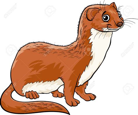 Weasel Clipart | Free download on ClipArtMag