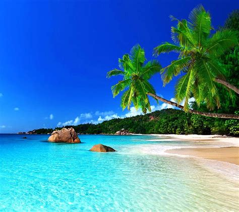 Tropical Beaches Wallpaper Desktop