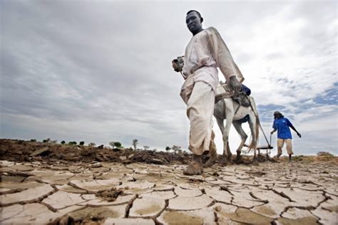 Global warming: severe consequences for Africa | Africa Renewal