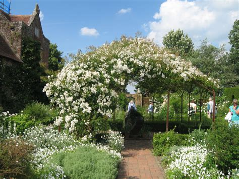 the white garden of Sissinghurst june 2008