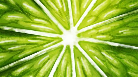 Wallpaper ID: 16629 / lime, citrus, art, cut, fruit, 4k free download