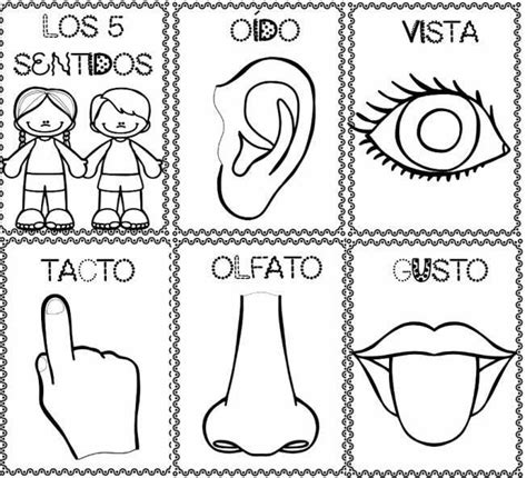 CARTELES DIDÁCTICOS Los 5 sentidos | Preschool spanish lessons, Senses ...