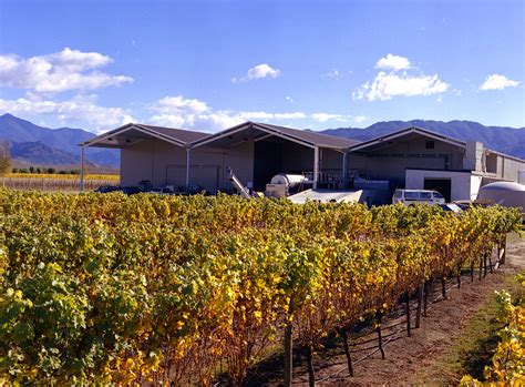 Wairau River Wines | Apollo Projects