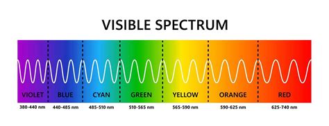 Visible light spectrum. Optical light wavelength. Electromagnetic ...