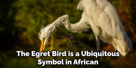 Egret Spiritual Meaning, Symbolism and Totem | Detailed Guide