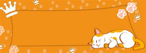 Orange Cat Background Images, HD Pictures and Wallpaper For Free ...