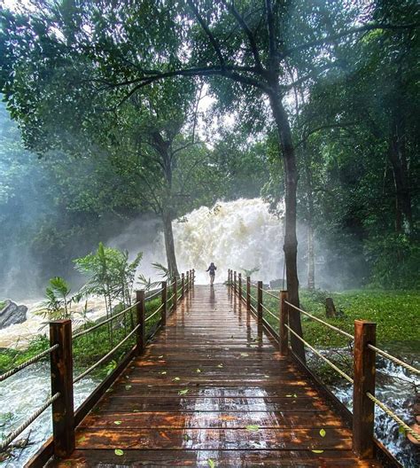 Coorg Hill Station In Karnataka | Places to go, Best places to travel ...