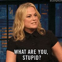 Amy Poehler Mad Gif