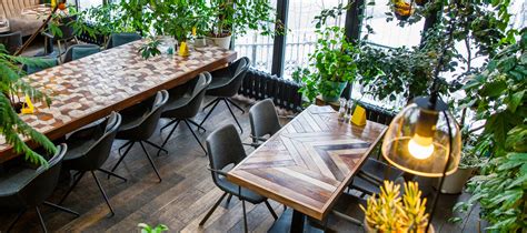 Trending Plants For Cafe & Restaurant Interiors - Hortology