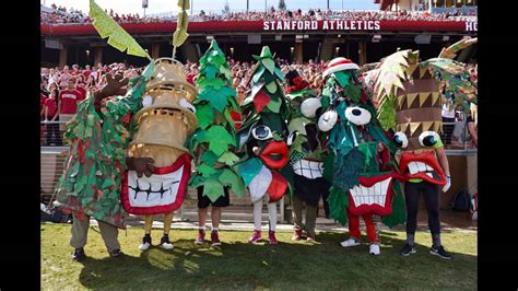 Stanford University Mascot History