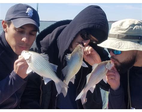 Lake Lewisville Fishing Guides | Striper Fishing | White Bass Fishing