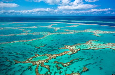 Great Barrier Reef In Australia Under Clear Threat - UN | HuffPost