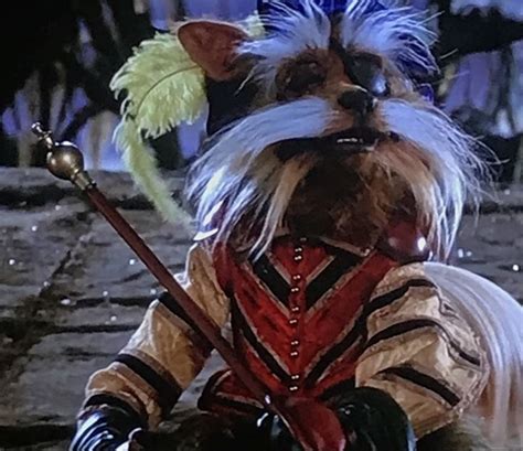 Sir Didymus - The Labyrinth (With images) | Character, Fictional ...