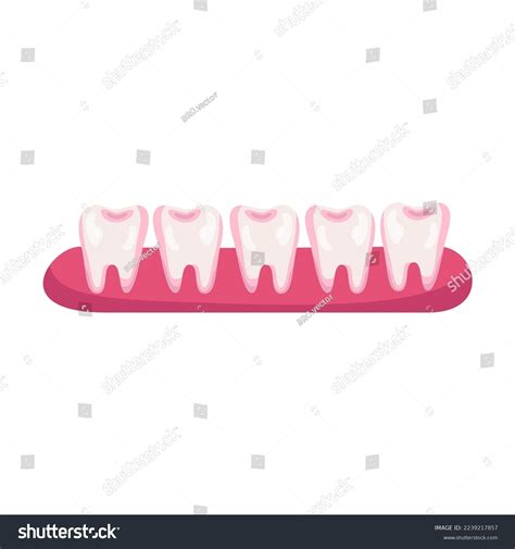 Teeth After Braces Cartoon Illustration Stage Stock Vector (Royalty ...