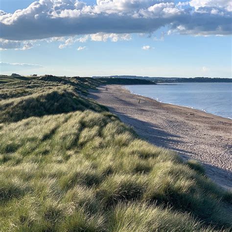 Warkworth Beach - All You Need to Know BEFORE You Go (2024)