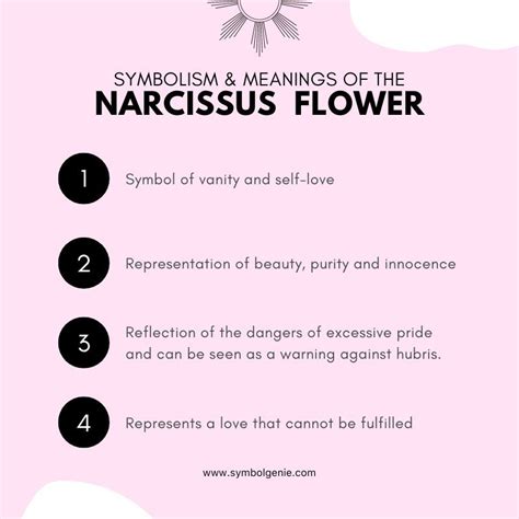 Narcissus Flower: Symbolism, Meanings, and History - Symbol Genie