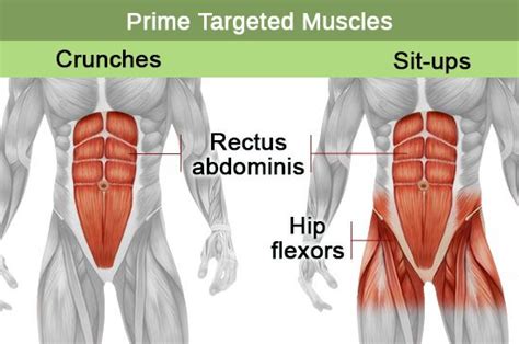 Sit-Ups Vs. Crunches