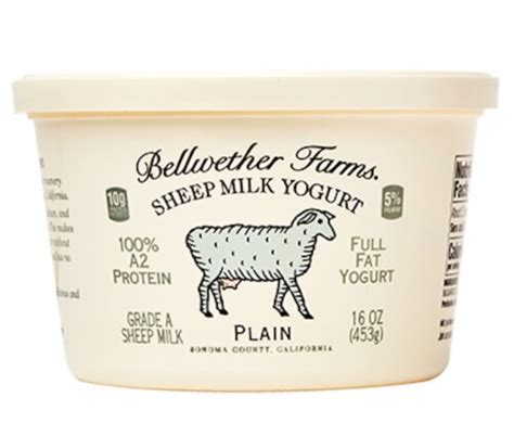 Bellwether Farms Plain Sheep Milk Yogurt, 16 oz - Pick ‘n Save