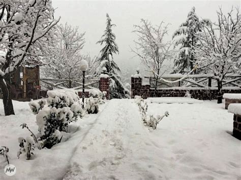 Snowfall In Manali: The Ultimate Guide You'll Ever Need