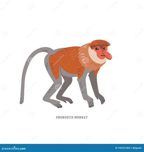 Proboscis Monkey Endangered Wildlife Cartoon Retro Drawing Royalty-Free ...