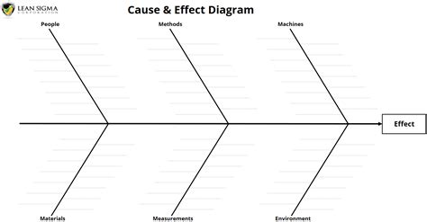 Using a Cause and Effect Diagram - Lean Sigma Corporation