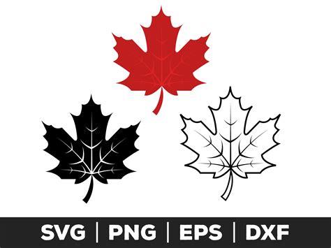 Maple Leaf Svg, Png, Eps, Canadian Leaf, Maple Svg, Canada Clipart ...