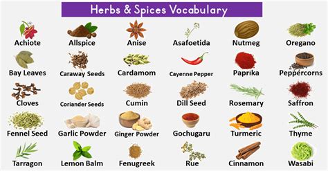 List of Herbs and Spices Vocabulary with Images – VocabularyAN