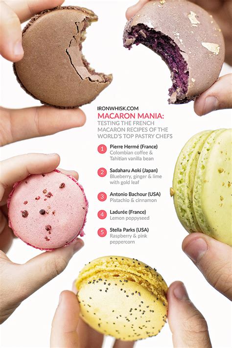 Macaron Mania: Recipes of the World's Top Chefs | IronWhisk