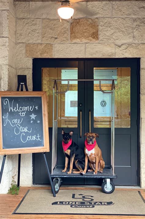 Pet Friendly Austin Hotels | Dog Friendly Hotels at The Domain